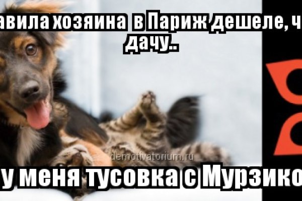 Кракен найти сайт