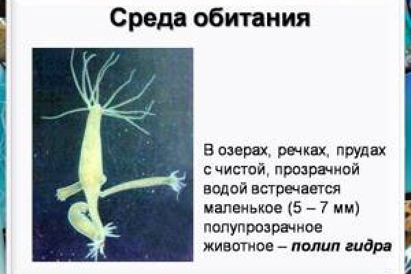 Кракен даркнет аккаунт