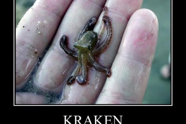 Darknet ссылки